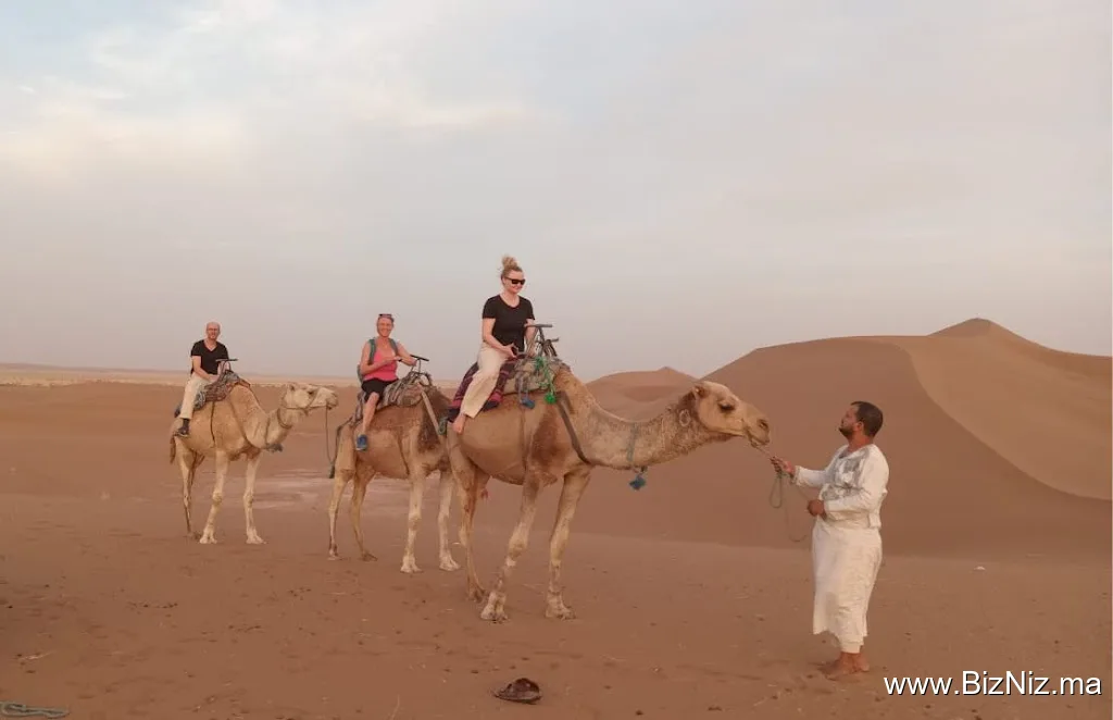 Desert Majesty