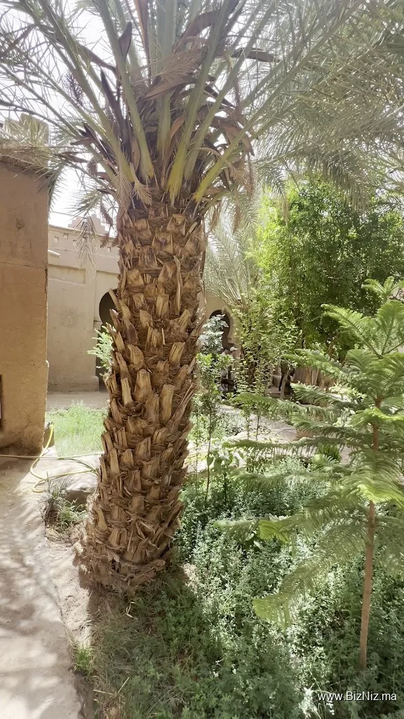 Kasbah Amridil
