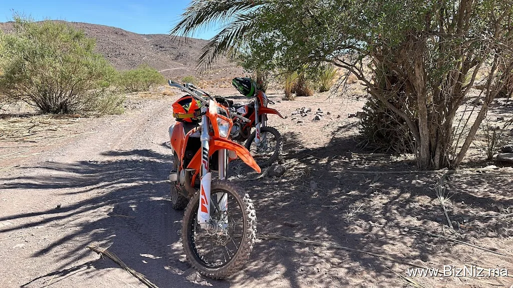 Motor Adventures