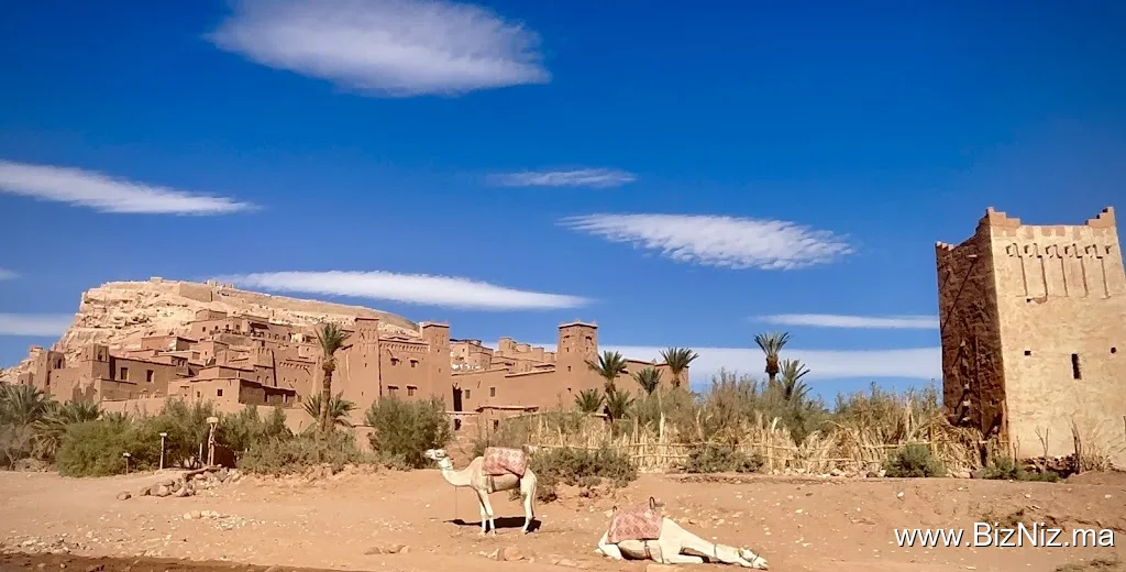 Morocco Desert Tour