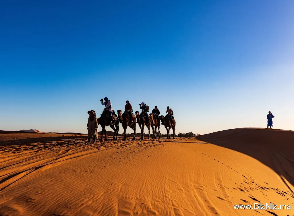 BAYOHI TRAVEL