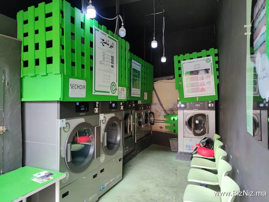 Ecolaundry