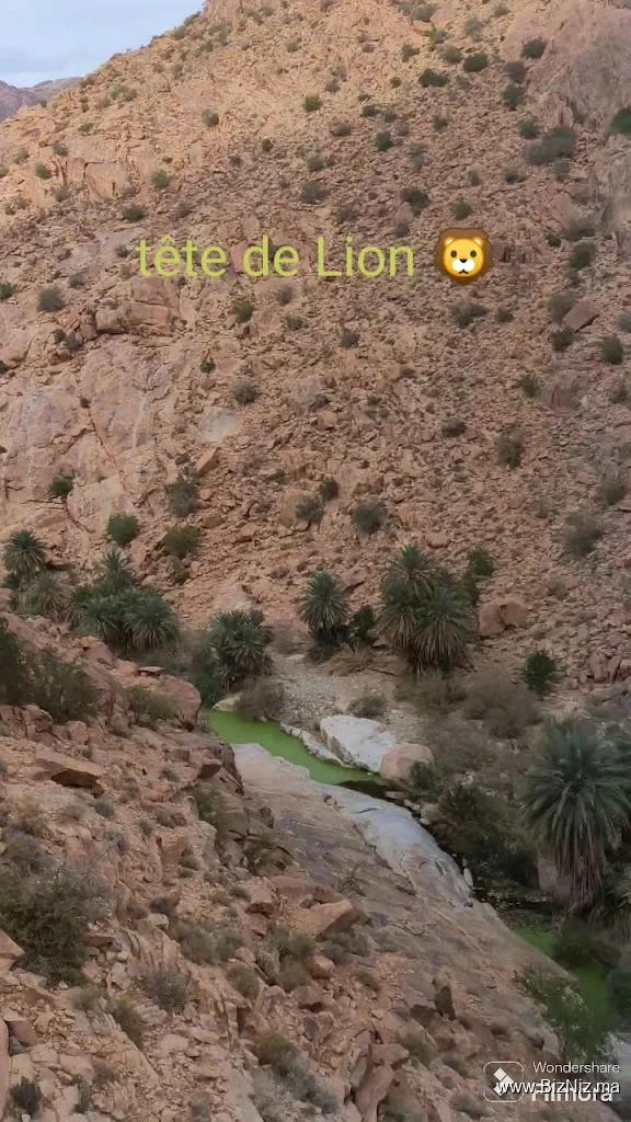 Tafraout