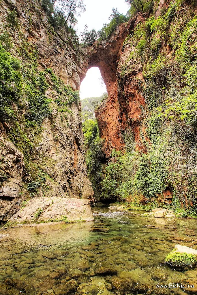 Adel – Local Guide in Akchour"