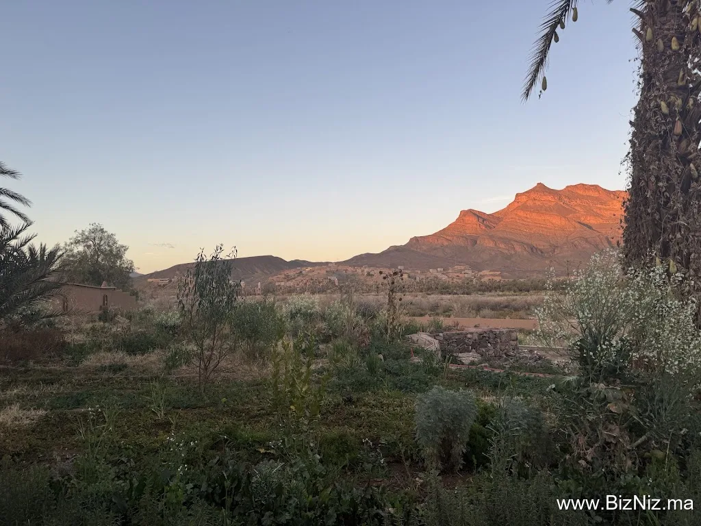 Lodge Hara Oasis