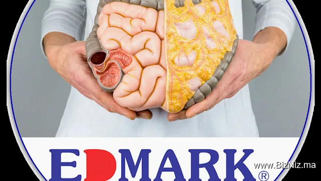 Edmark Inezgane Agadir