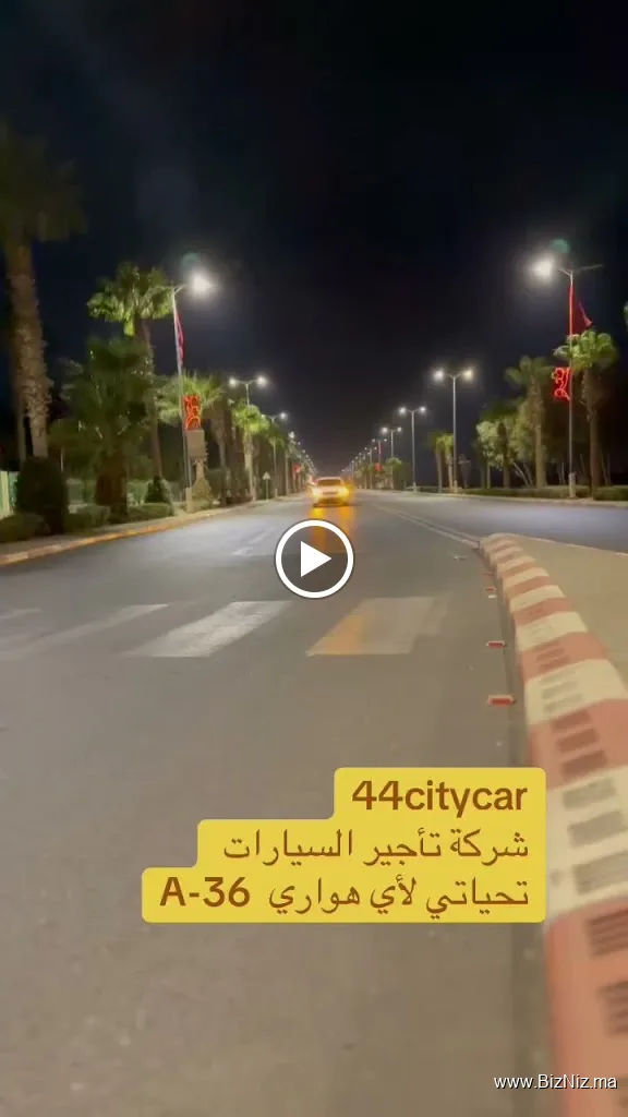 44citycar