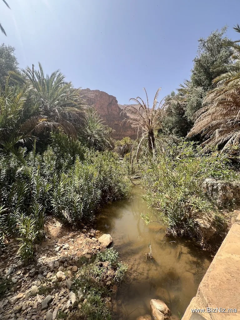Les Gorges d'Ait Mansour