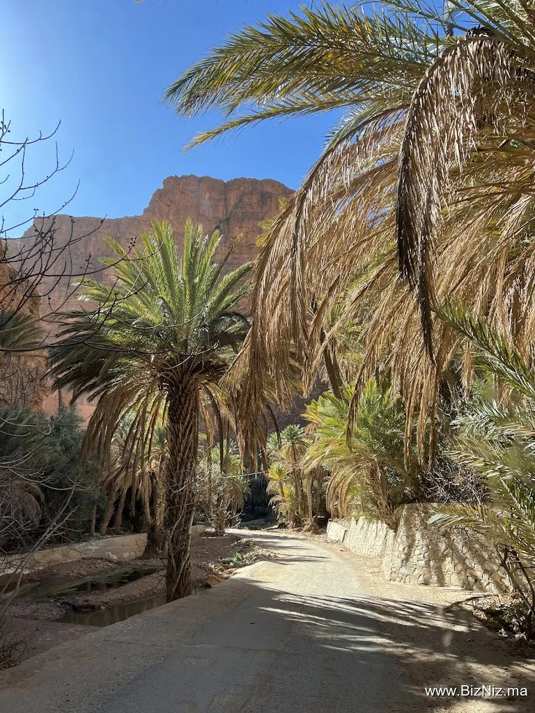 Les Gorges d'Ait Mansour