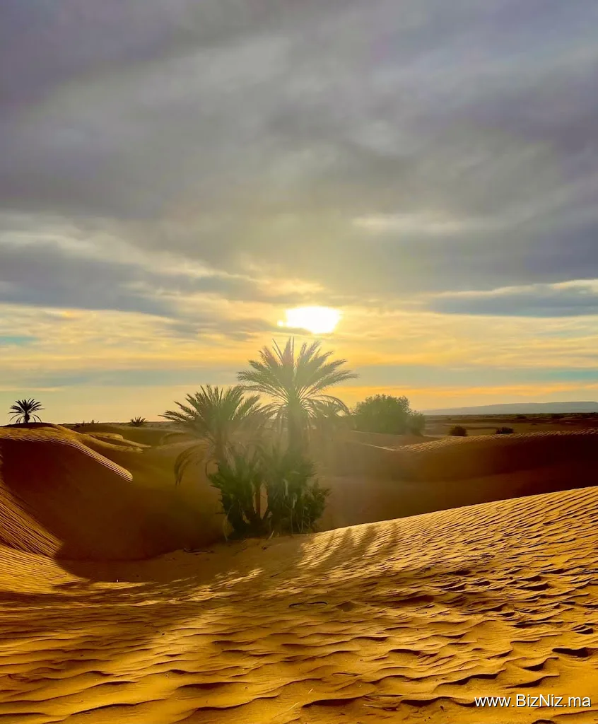 Asfa org for tourism in morocco