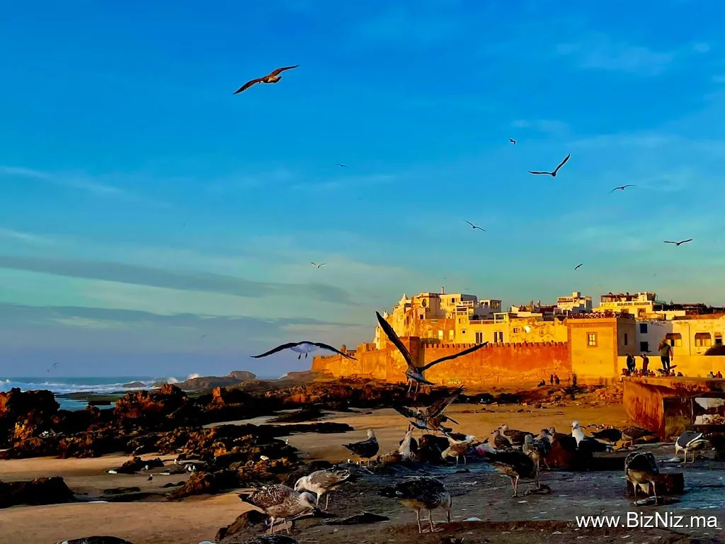 Asfa org for tourism in morocco