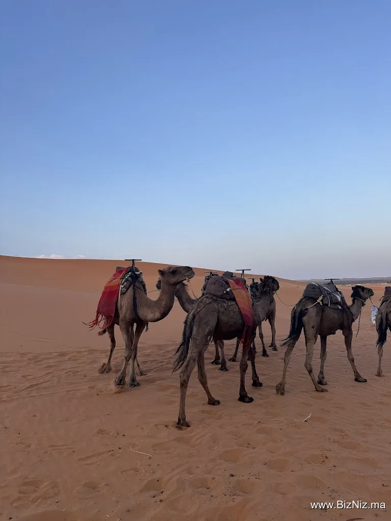 Ayoub Excursion - Travel Agency