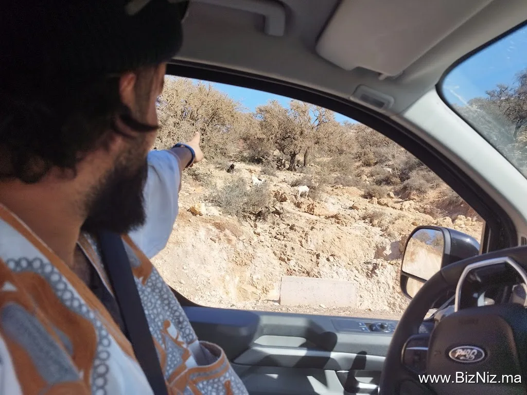 Paradis Tours | Excursions & Airport Transfers - Day & Night (Agadir & Taghazout)