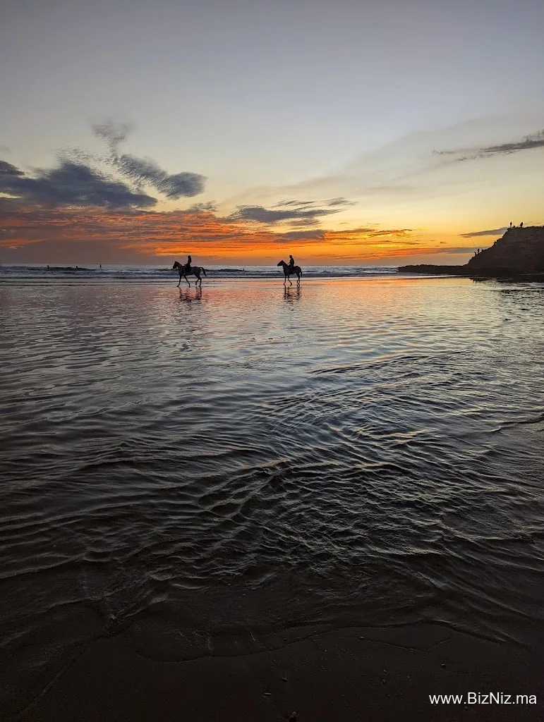 Vibe Surf Camp Morocco -Surf & Yoga Holidays