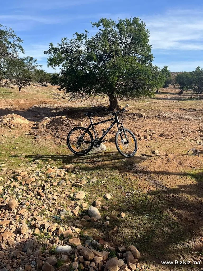 Thami bike tours