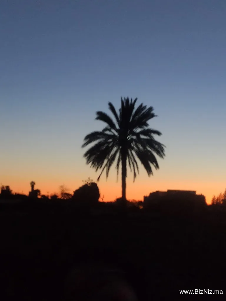 Coopérativre agricole Adrar