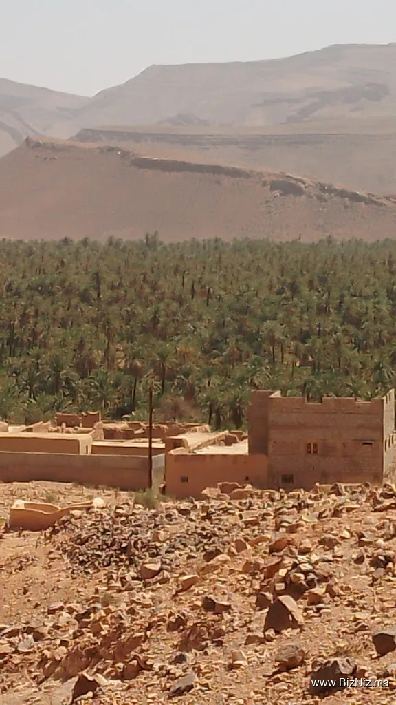 Hay Tanaàourt
