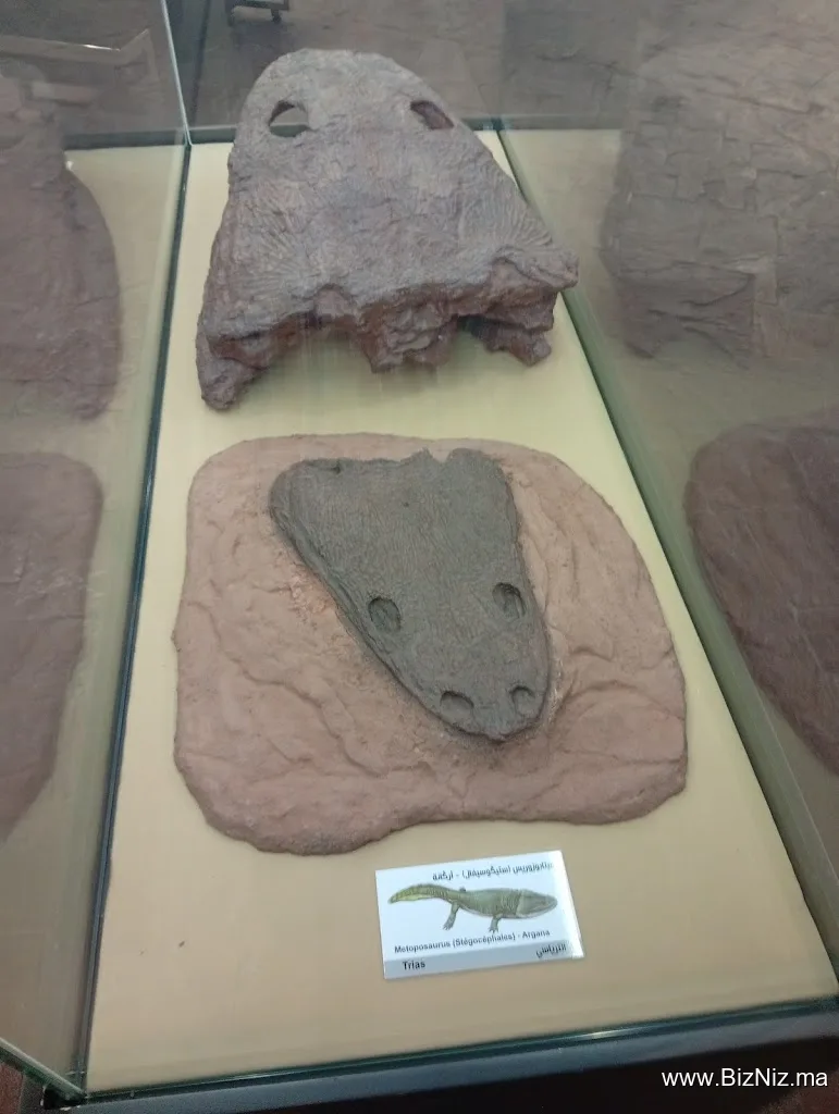 Azilal museum