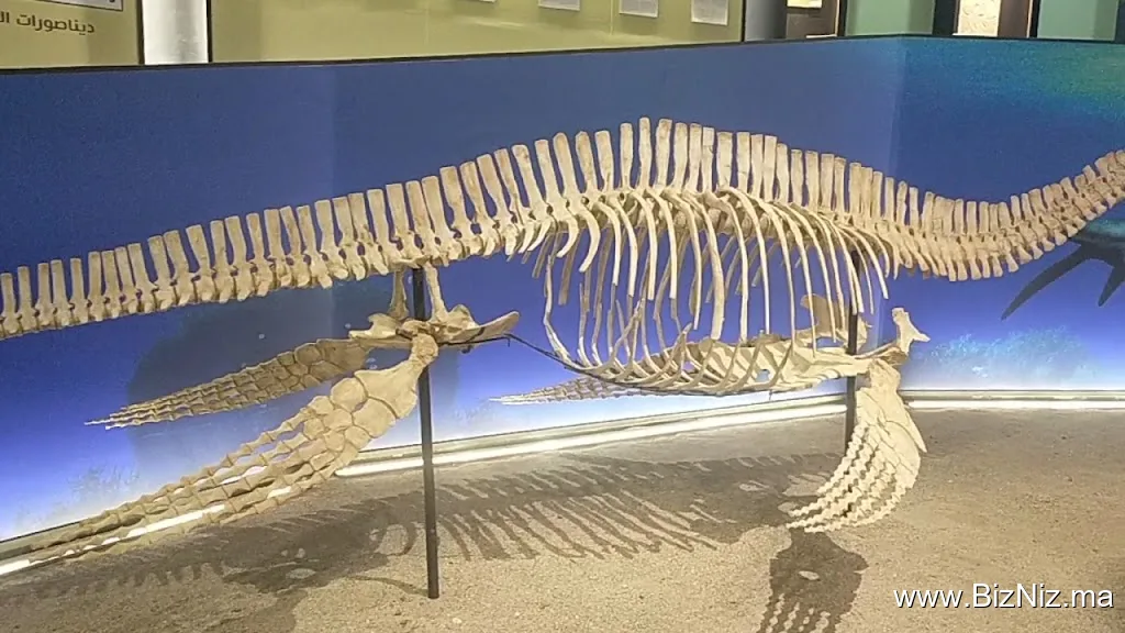 Azilal museum