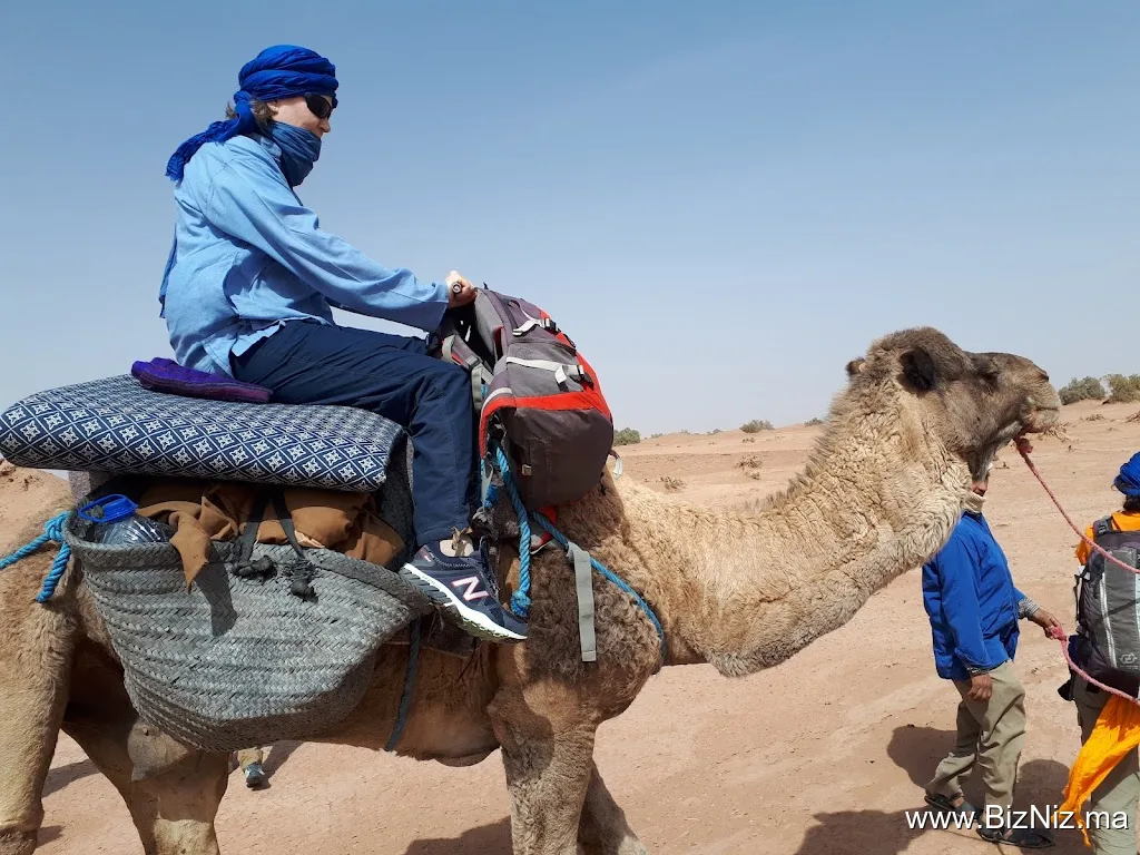 Vision berbere voyage