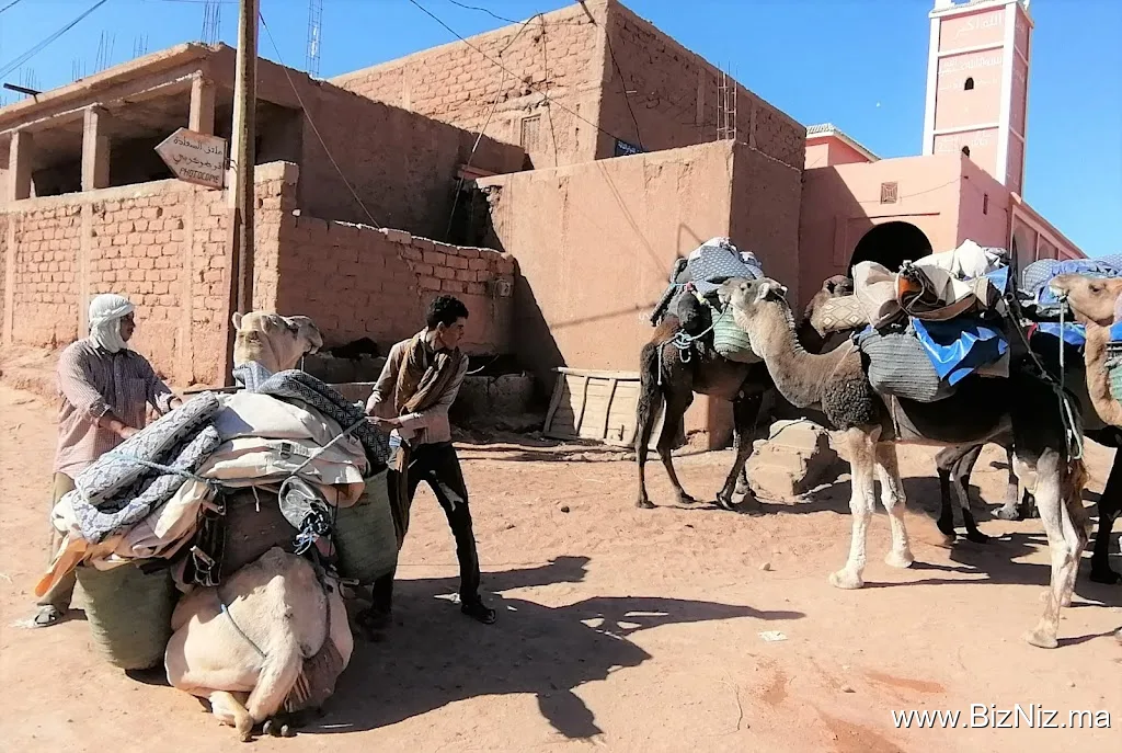 Vision berbere voyage