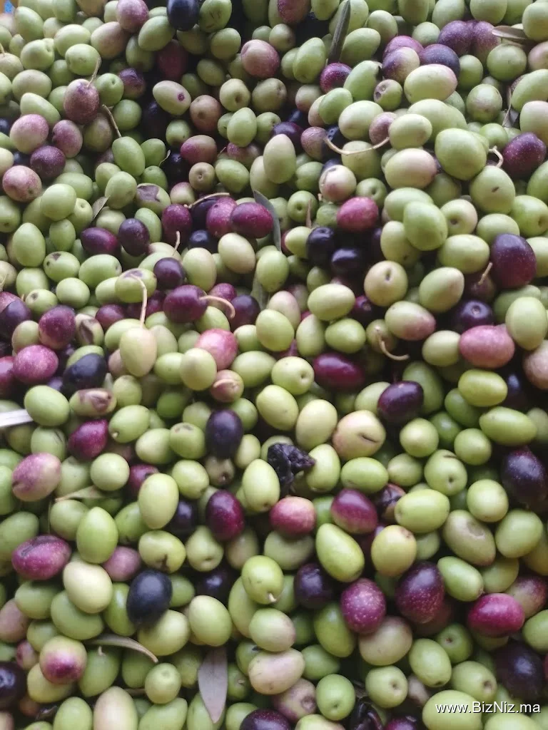 معصرة زيت الزيتون ( اولاد النيفاوي )