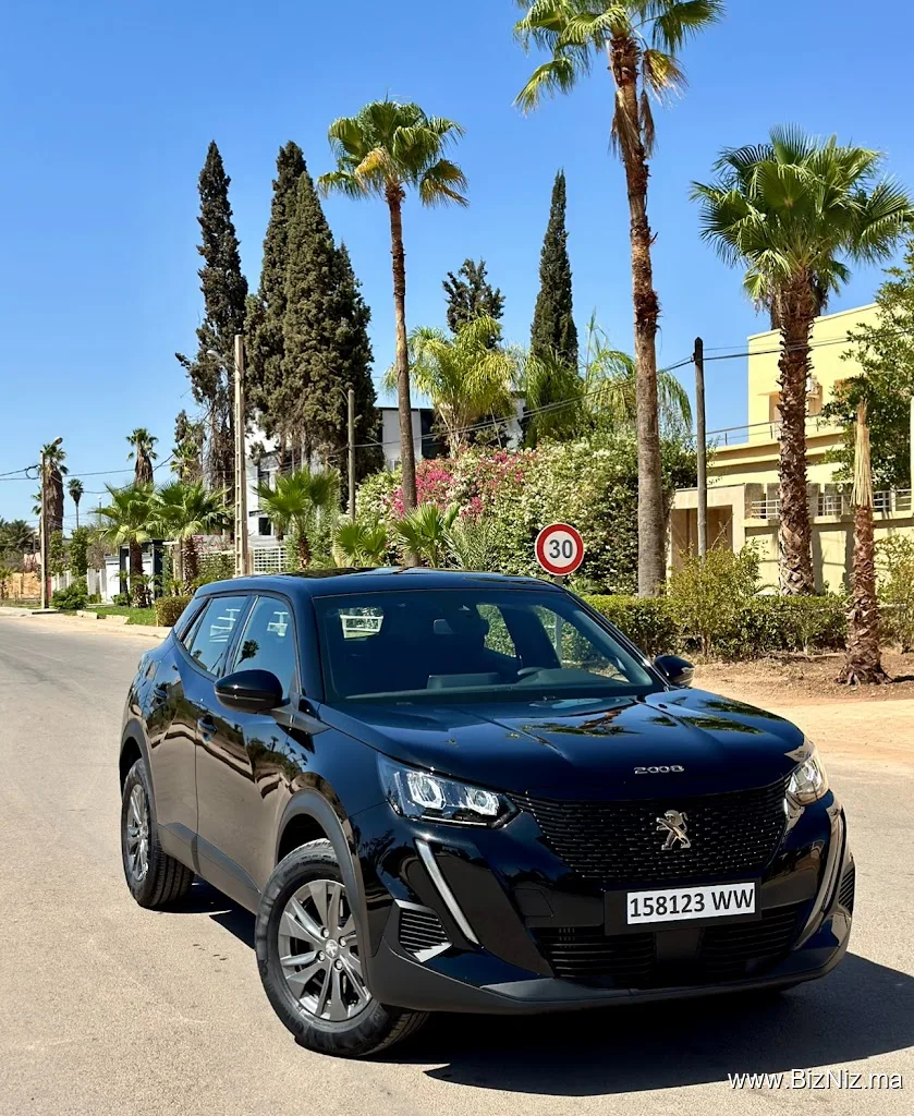 Lion Luxury Cars : Location de voitures