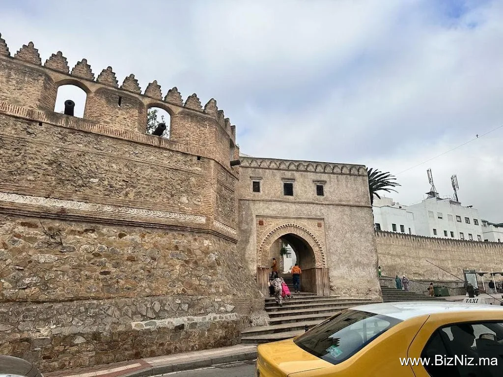 Tajine Trips