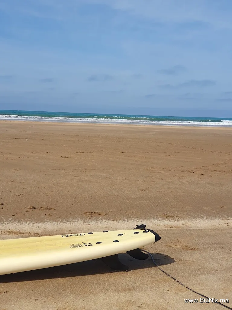 Antik Surf Club