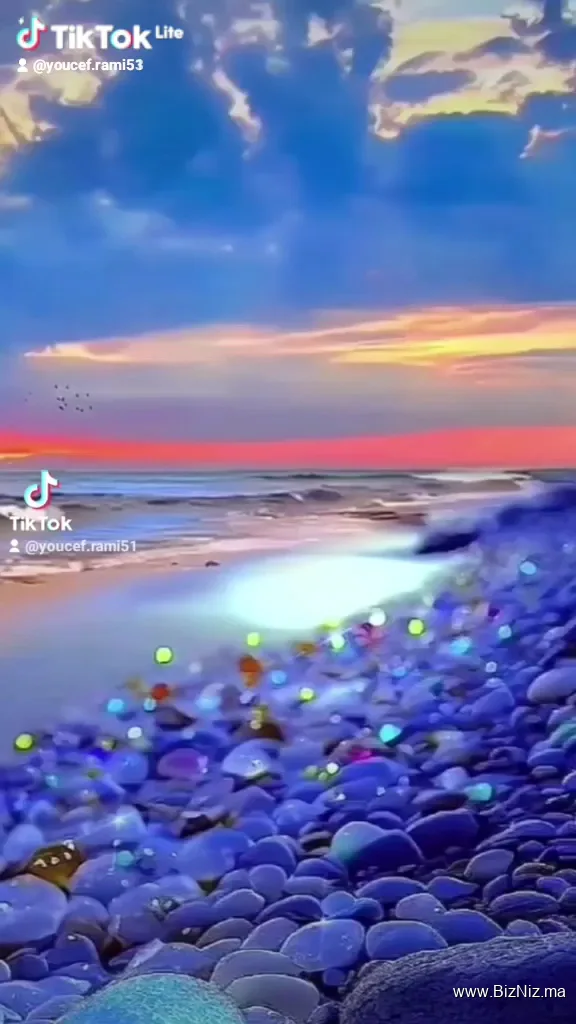الربح من الانترنت