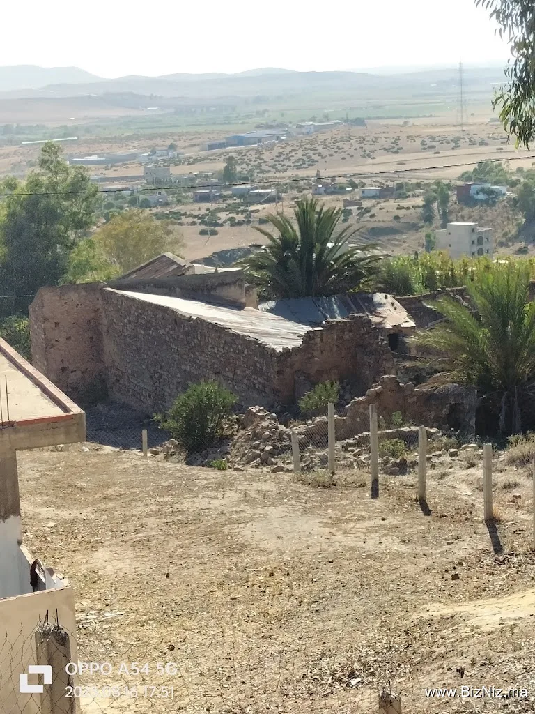 مدشرالنحل جمعاعةالزينات