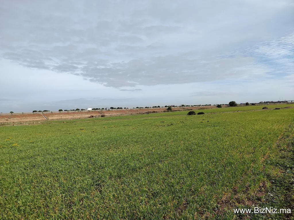 Commune Sahel Oulad Hriz