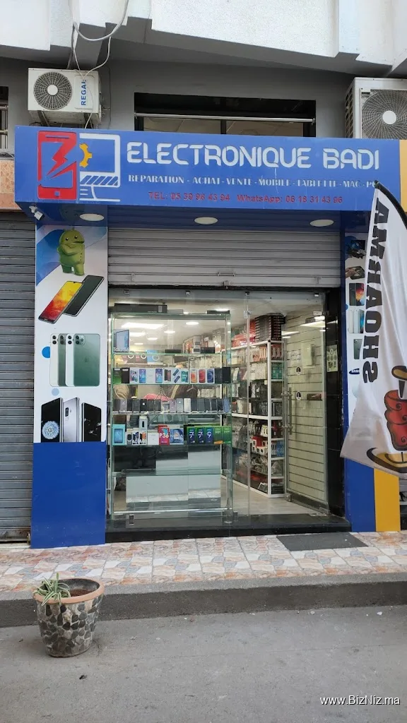 Électronique BADI