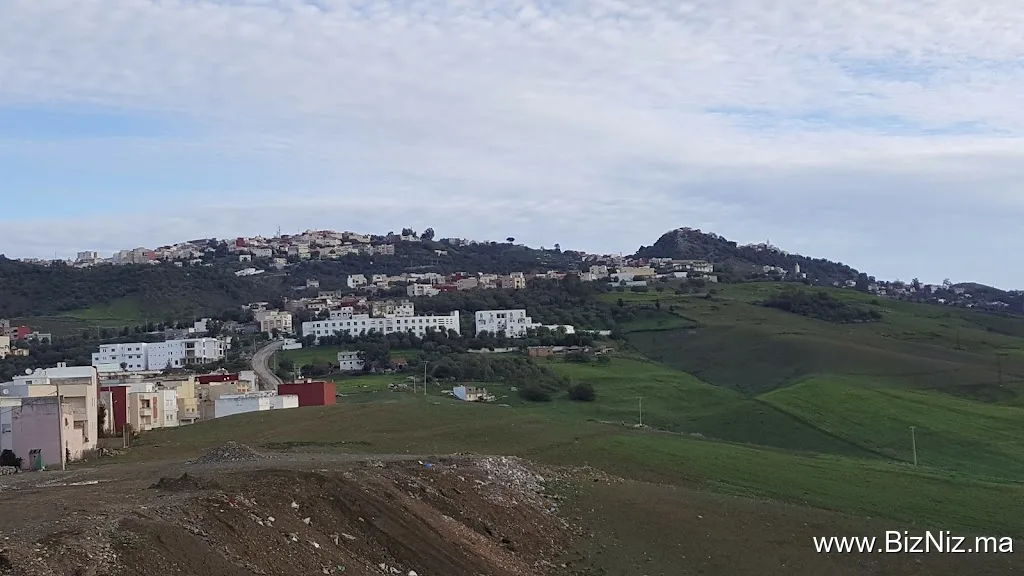 بلدية تاونات