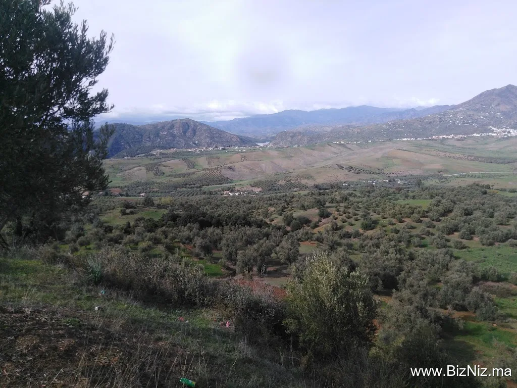 گعدة العين