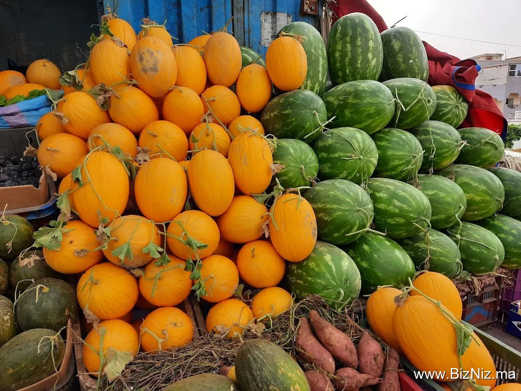 Fruits Extra