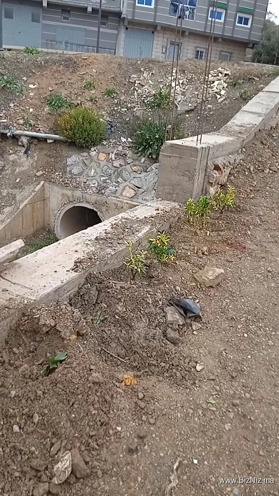 عمارة فارس