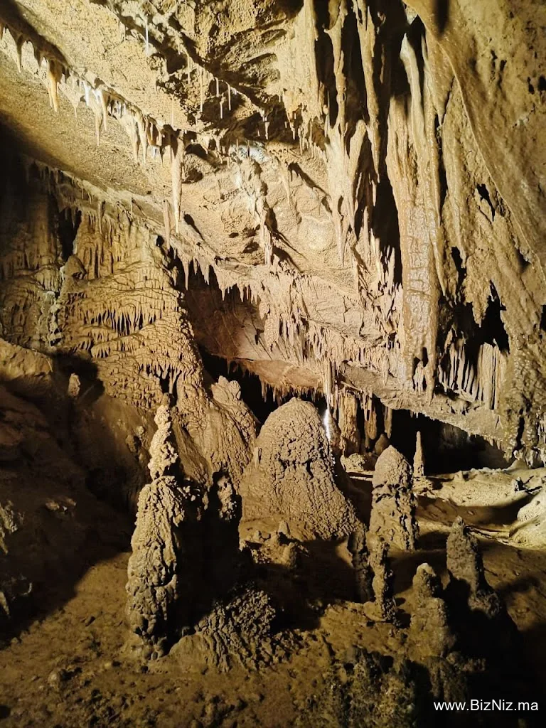 Paradise Moumou