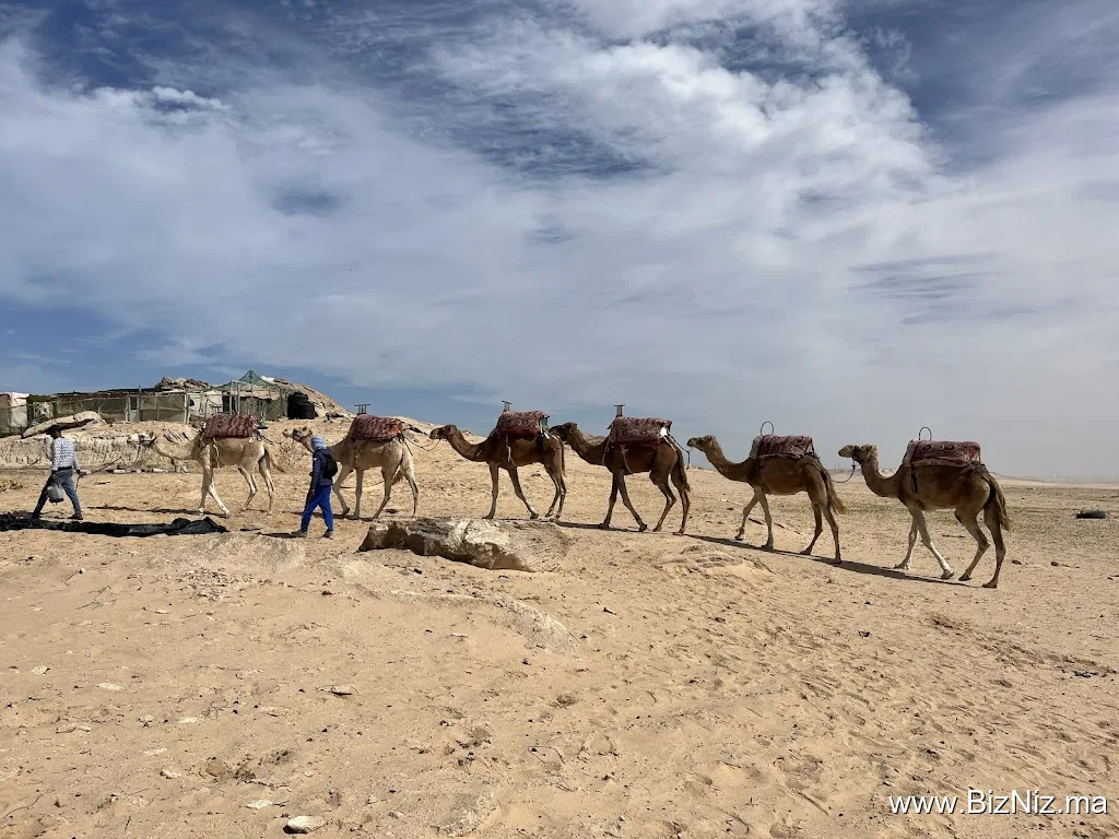 Ranch des Dunes