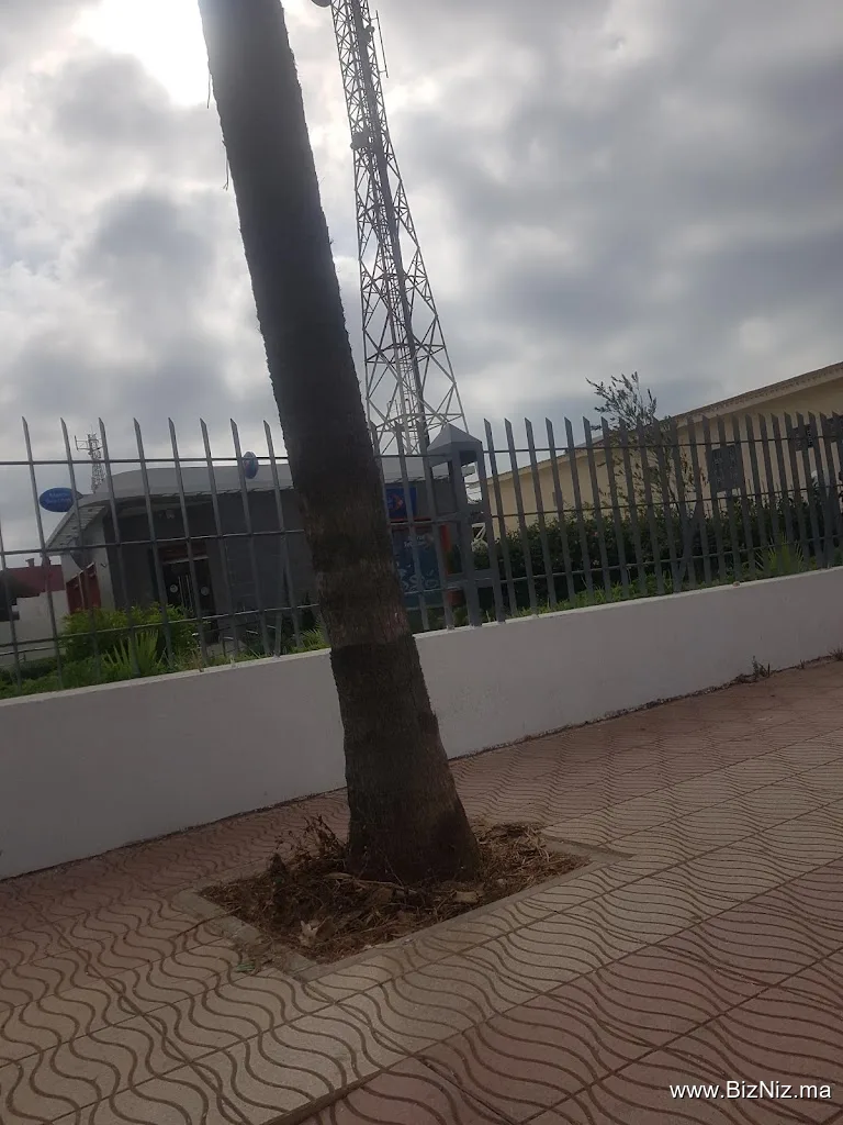 Maroc Telecom