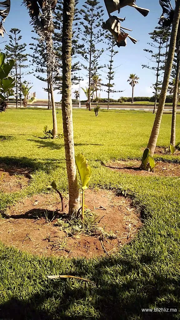 Résidence ALChifa, Sidi rahal