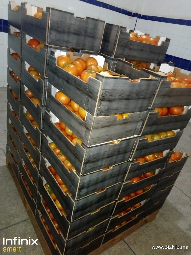 Station d’emballage et Frigo de stockage