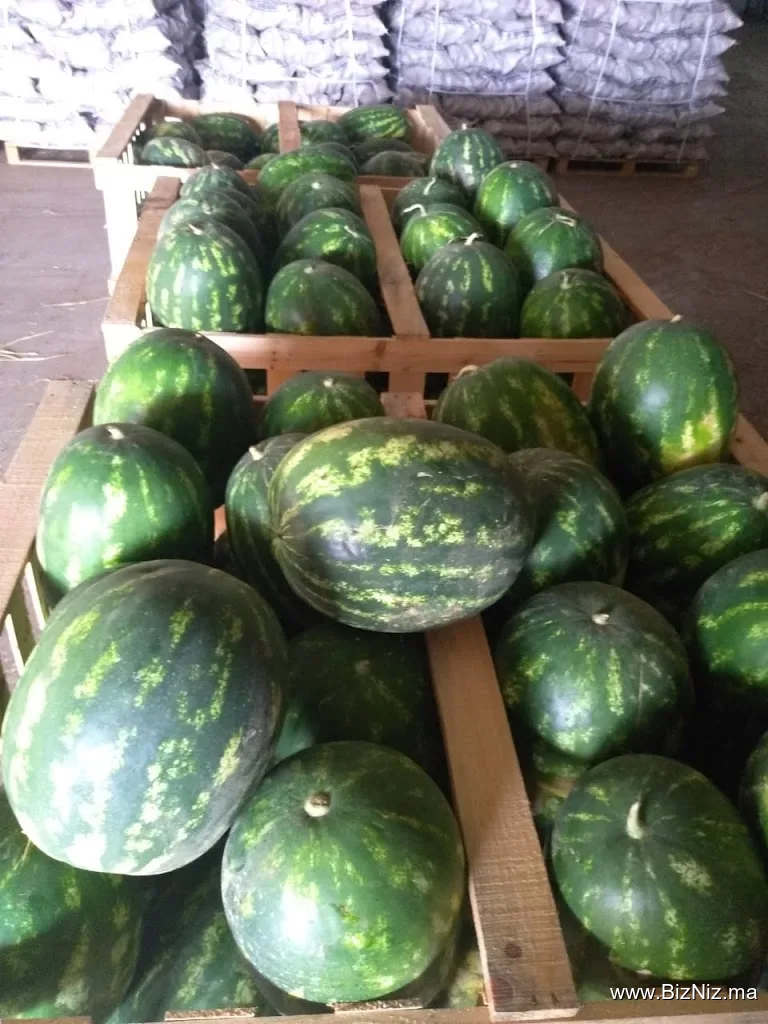 Station d’emballage et Frigo de stockage