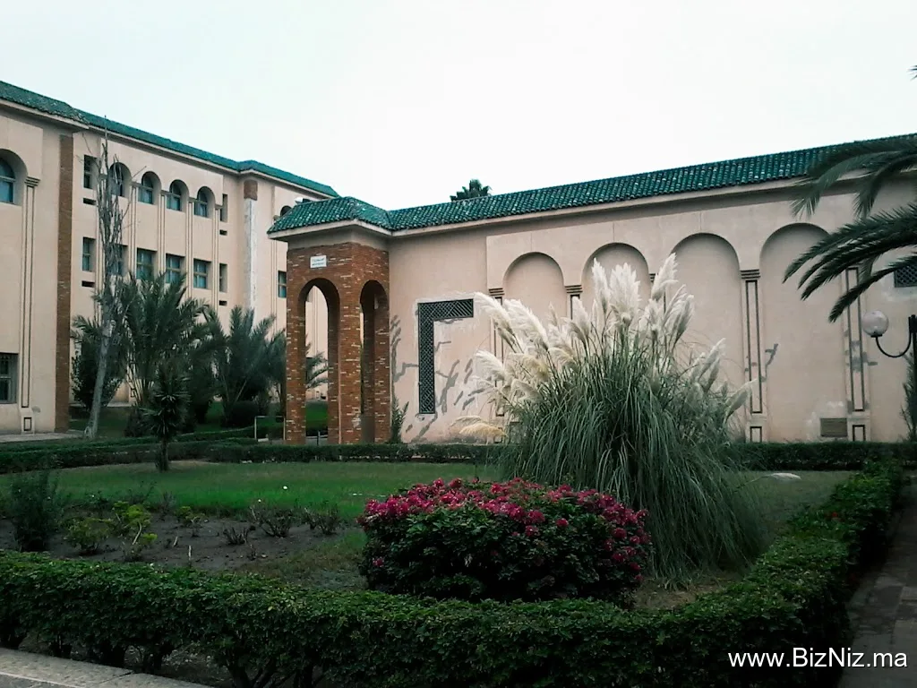 Faculté des Sciences et Techniques Settat, Licence et Master professionnel Maroc
