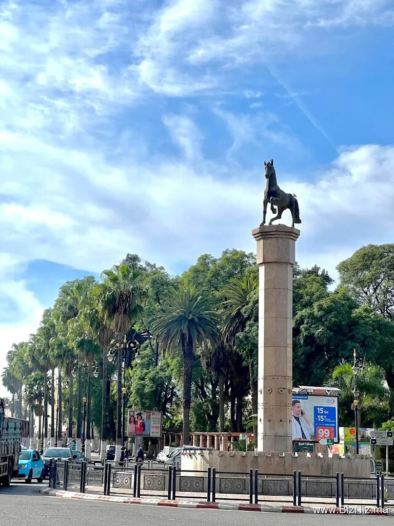 Settat horse roundabout