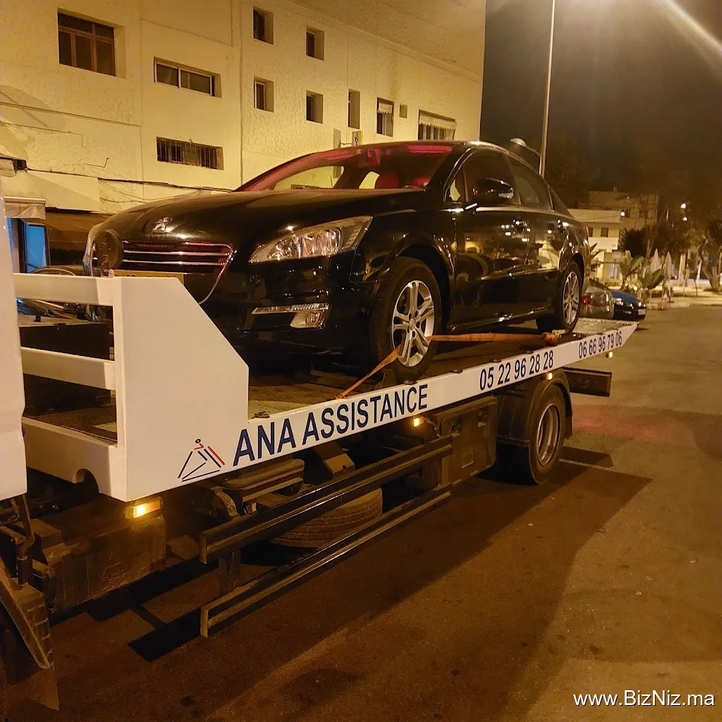ANA ASSISTANCE