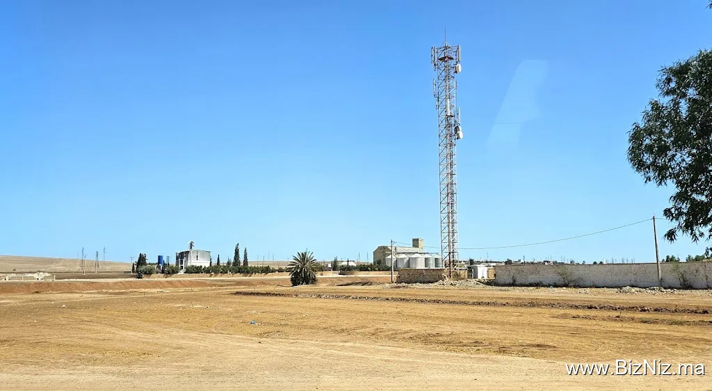 مصنع الجبس