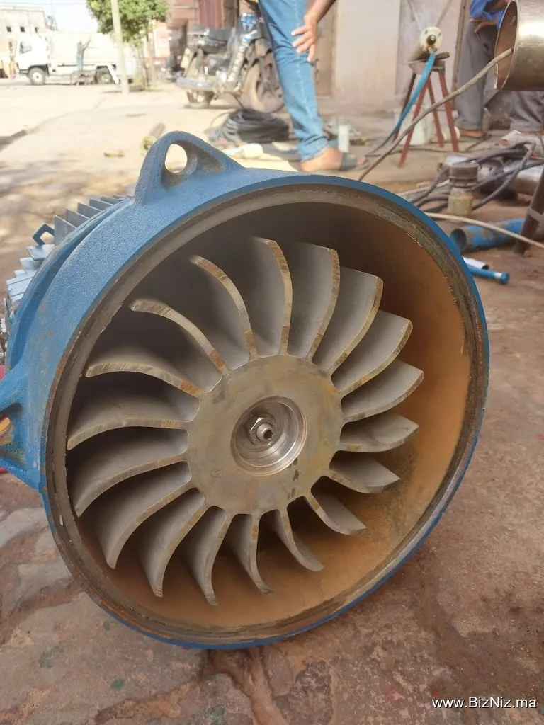 Zima Pumps Worck Shop