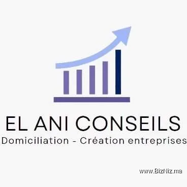 STE ELANI CONSEIL sarl au (domiciliation des entreprises)