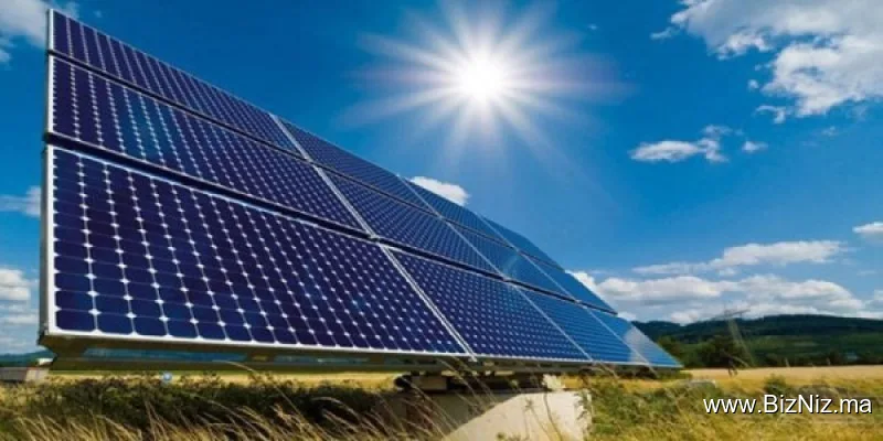 AutoSolarWahaj ASW